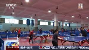 BSport体育官网 乒乓球台什么颜色的